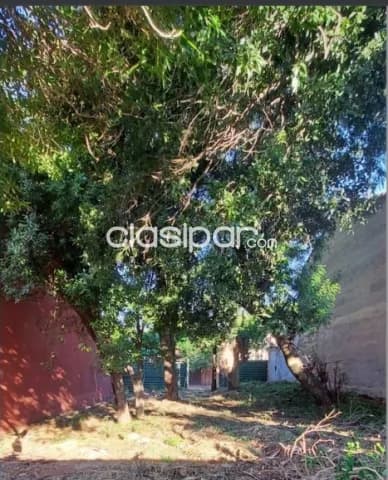 Terreno de 360 m2 en Carmelitas, Zona Casa Rica-LLA5397810 — foto 5