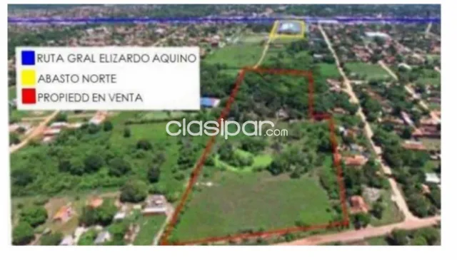 Terreno de 22.000 m2 en Limpio Zona Abasto Norte — foto 4