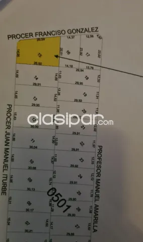 Importante propiedad en esquina Barrio Madame Lynch, foto 2