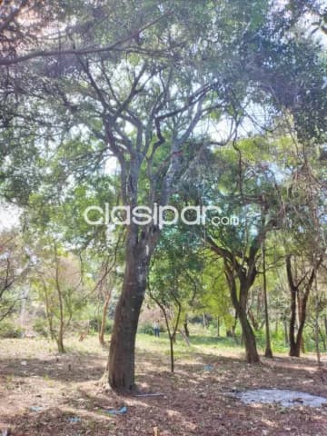 Terreno en San Bernardino Zona Anfiteatro, foto 3