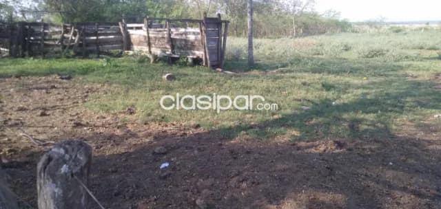 Hermosa propiedad de 174 has yaguaron — foto 3