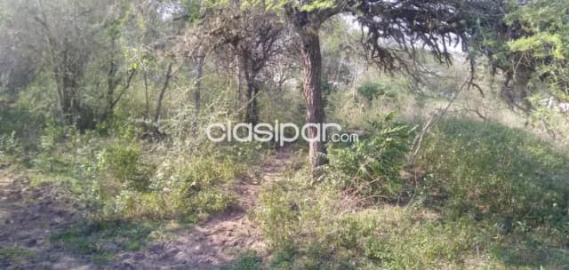 Hermosa propiedad de 174 has yaguaron — foto 5