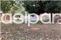 (Carmelitas) Amplio Terreno en Las Lomas zona Molas Lopez 275,000 USD Paraguay Asunción L — foto 3