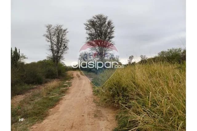 Campo ganadero 968 hectareas zona palo santo-loma plata boqueron, foto 5