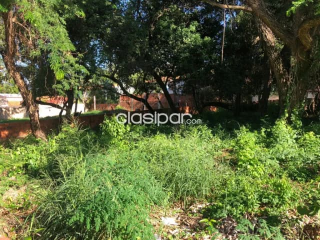 Terrenos juntos o por separado, calle a calle, lambare, cerca del yacht, colegio sek — foto 4