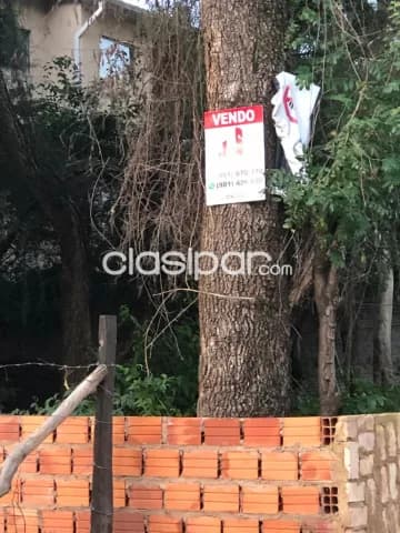Terrenos juntos o por separado, calle a calle, lambare, cerca del yacht, colegio sek — foto 5