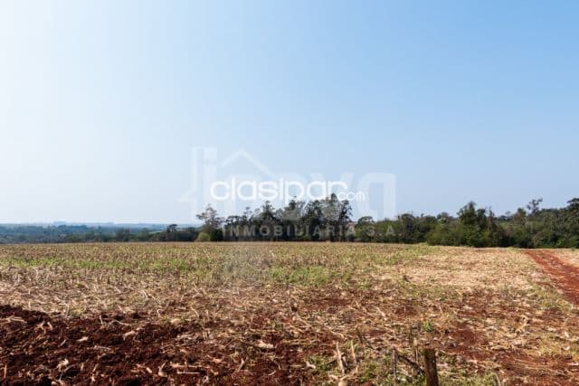 Campo Agricola/Ganadero Mecanizado en Mbaracayu - 36 Ha