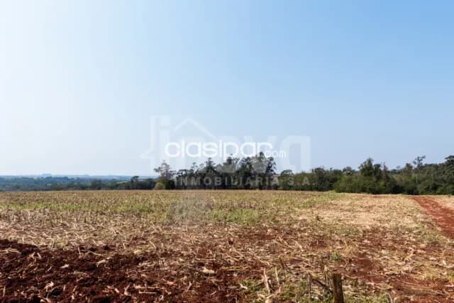 Campo Agricola/Ganadero Mecanizado en Mbaracayu - 36 Ha, foto 2