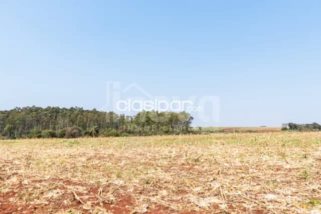 Campo Agricola/Ganadero Mecanizado en Mbaracayu - 36 Ha, foto 3