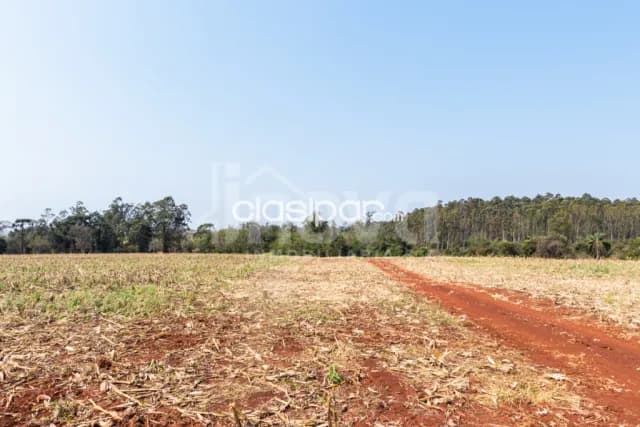 Campo Agricola/Ganadero Mecanizado en Mbaracayu - 36 Ha, foto 4