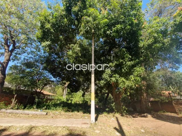¡terreno arbolado en venta en san antonio, una oportunidad única para vivienda u oficina — foto 4