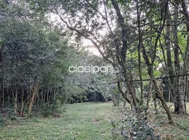 Campo Turístico en Piribebuy - 33 Ha — foto 2