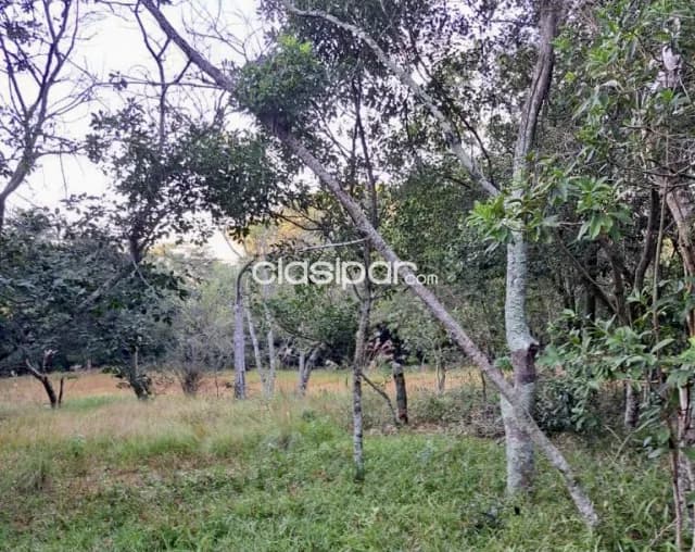 Campo Turístico en Piribebuy - 33 Ha — foto 4