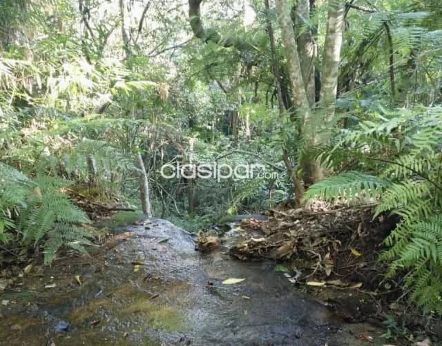 Campo Turístico en Piribebuy - 33 Ha — foto 5