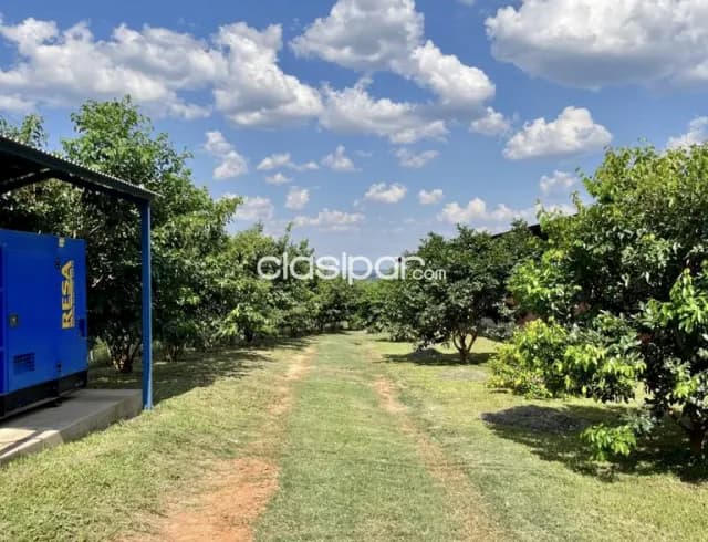 Granja Porcina en Coronel Oviedo - 64 Ha — foto 3