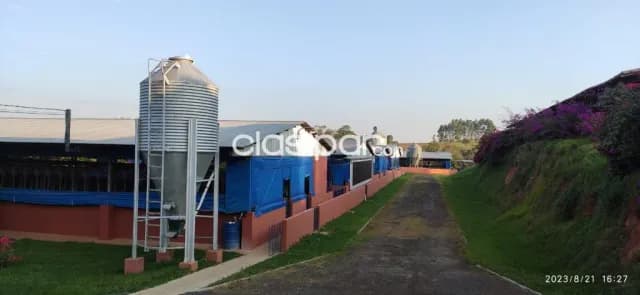 Granja Porcina en Coronel Oviedo - 64 Ha — foto 5