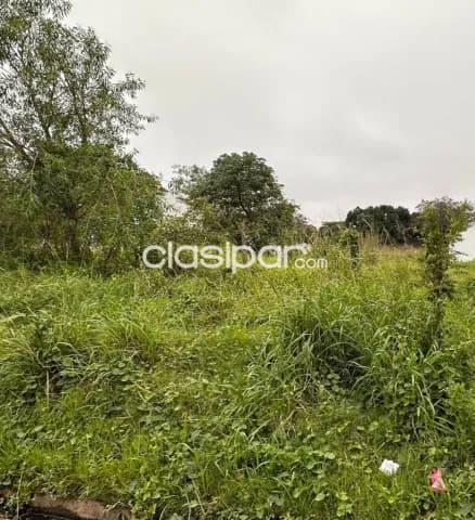 Terreno en Lambare Sobre Avda. del Yacth, foto 2