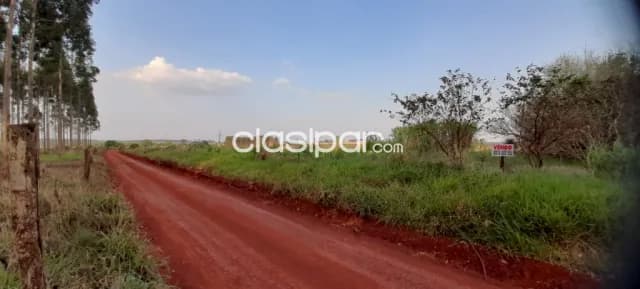 En oferta 5 hectareas a 1200 metros del parque industrial de hernandarias — foto 3