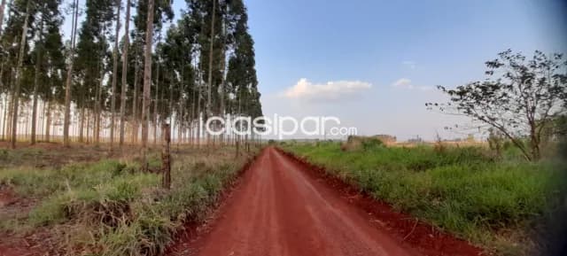 En oferta 5 hectareas a 1200 metros del parque industrial de hernandarias — foto 4