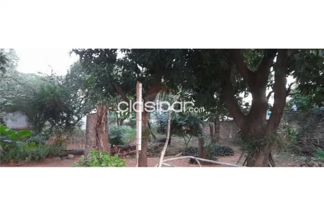 Amplio terreno en lambare, cuatro mojones — foto 3