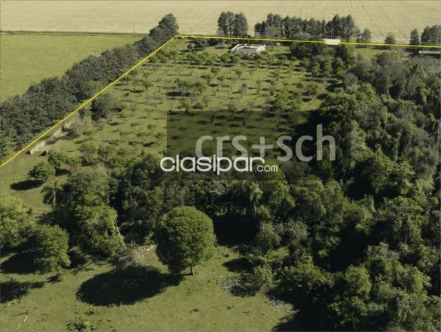 30 ha en venta - La Paz - Itapúa