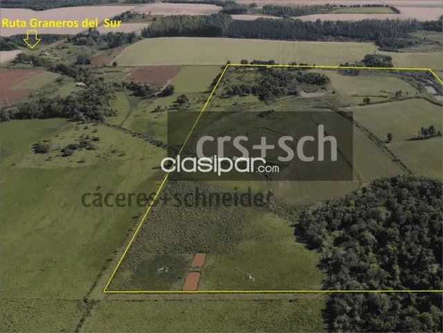 30 ha en venta - La Paz - Itapúa, foto 3