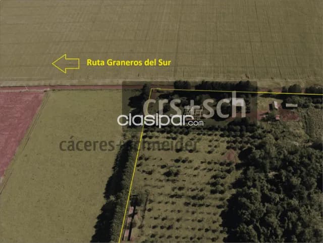 30 ha en venta - La Paz - Itapúa, foto 4