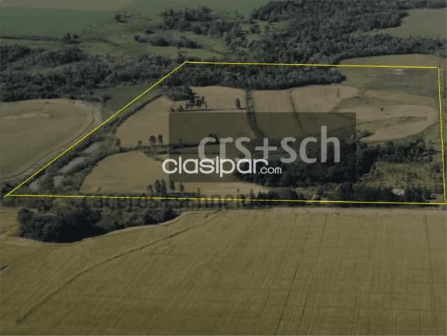 30 ha en venta - La Paz - Itapúa, foto 5