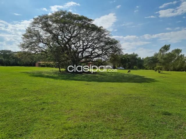 En venta hermosa casa quinta de 3 has. + 6.240 m2., en carapegua, cia aguaihy !!!, foto 4