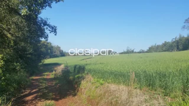 70 has, sobre rio Paraná, Cap. Meza , Itapua, foto 4