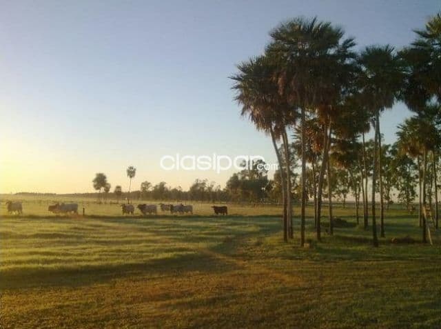 Estancia de 23.093 Hectáreas en Presidente Hayes-CLCS5524741