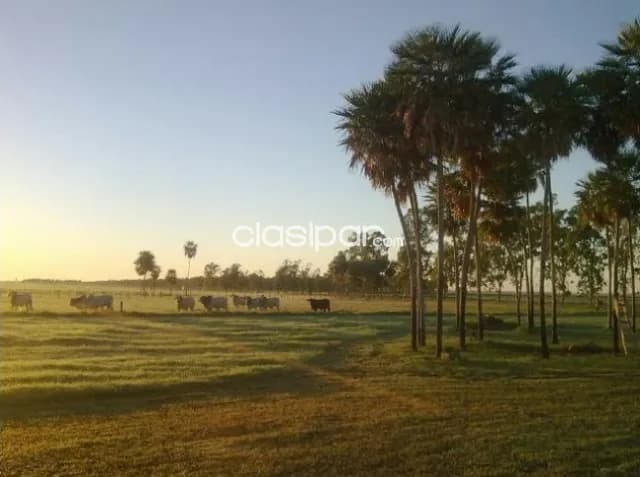 Estancia de 23.093 Hectáreas en Presidente Hayes-CLCS5524741, foto 2
