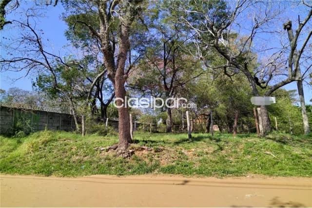 Amplio terreno de 1035 m2 mariano r. Alonso a pasos del rio py y club de pesca munic — foto 5