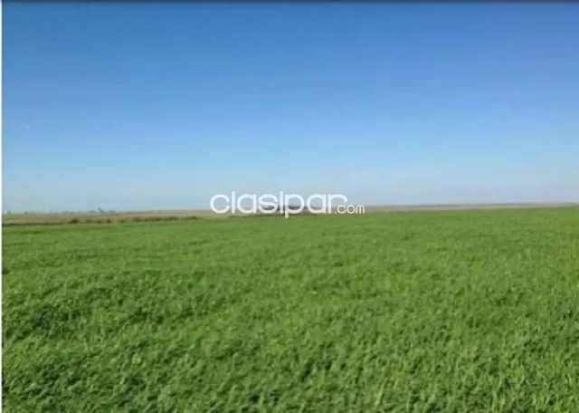 Campo de 9.258 Hectáreas en Capitán Bado, Amambay-CLCS5526278, foto 4