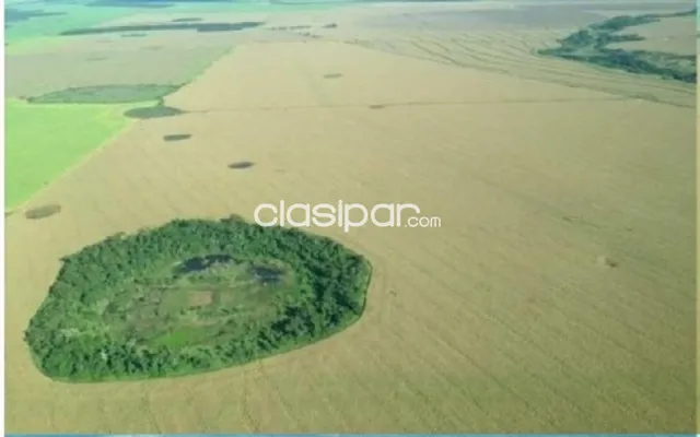 Campo de 9.258 Hectáreas en Capitán Bado, Amambay-CLCS5526278, foto 5