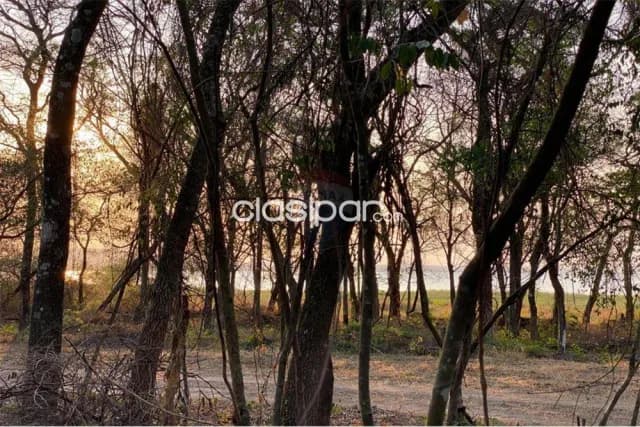 Hermosos terrenos con vista al lago — foto 5