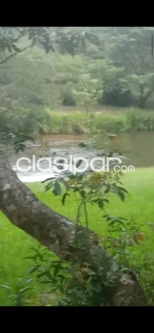terreno en Piribebuy con arroyo y cascadas, foto 3