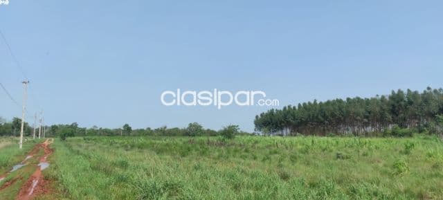 Campo