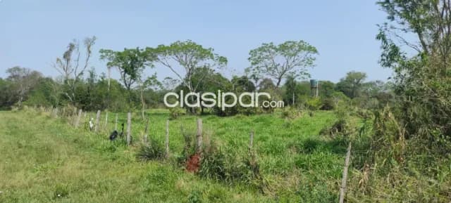 Campo — foto 4