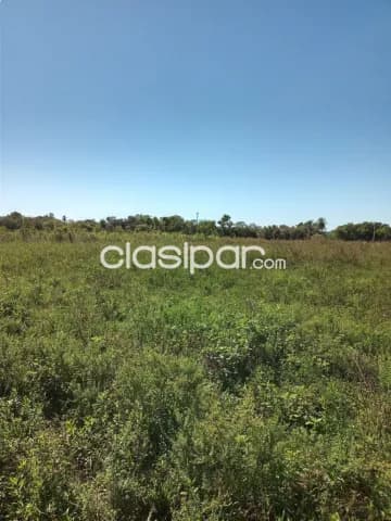 Campo — foto 5