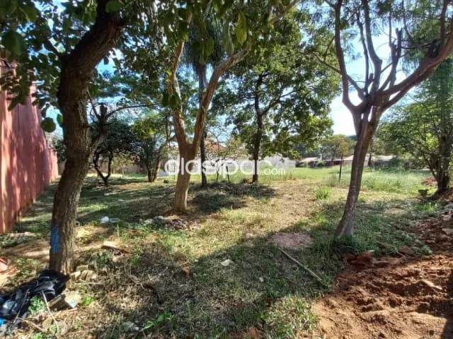 Terreno en Luque zona cit cod 2198 — foto 3