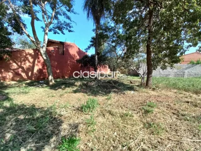 Terreno en Luque zona cit cod 2198 — foto 4