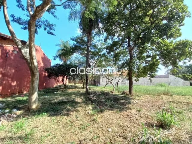 Terreno en Luque zona cit cod 2198 — foto 5