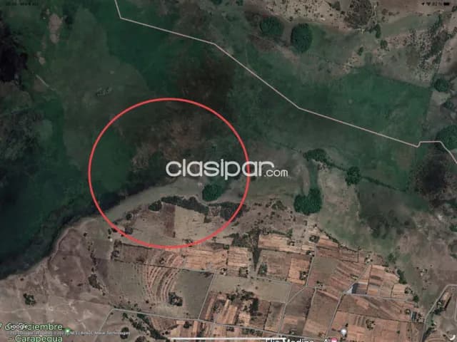 Terreno de 75,83 has en Franco Isla, Carapegua, Paraguari — foto 3