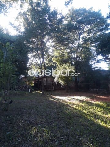 terreno 12x36 metros – Zona Mora-Cué, Luque
