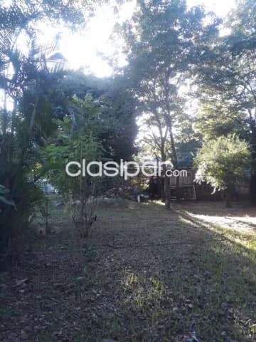 terreno 12x36 metros – Zona Mora-Cué, Luque — foto 3