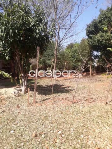 terreno 12x36 metros – Zona Mora-Cué, Luque — foto 5