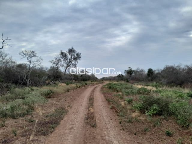 Campo de 4.000 Hectáreas en la Colonia Soldado Guaraní-CLCS5561089, foto 1