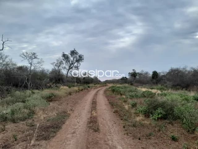 Campo de 4.000 Hectáreas en la Colonia Soldado Guaraní-CLCS5561089, foto 2