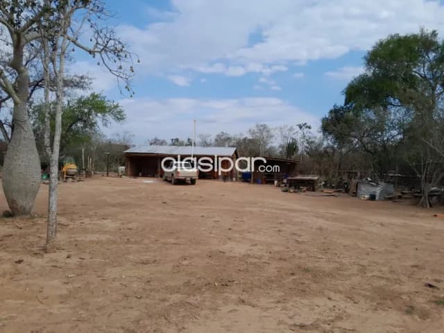 Campo de 4.000 Hectáreas en la Colonia Soldado Guaraní-CLCS5561089, foto 4